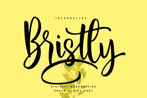 Bristly Font Review: A Web Designer’s Take