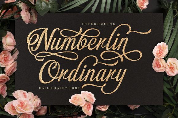 Numberlin Ordinary: A Handwritten Font for Polished Brands