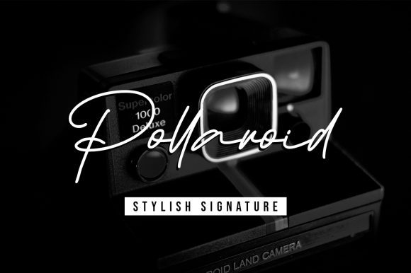 Pollaroid Font Review: A Delicate Script for Web Design