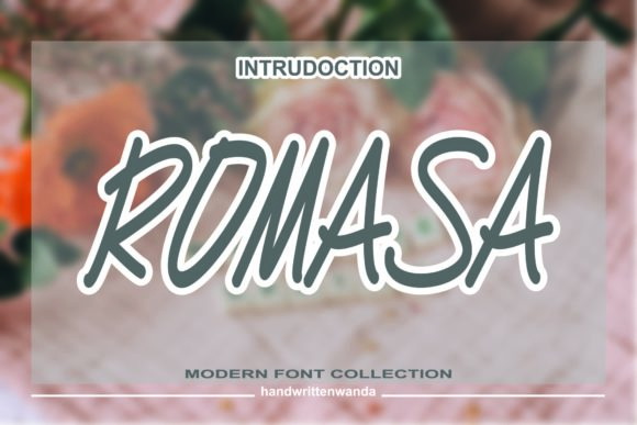 Romasa: A Designer’s Honest Review for Branding