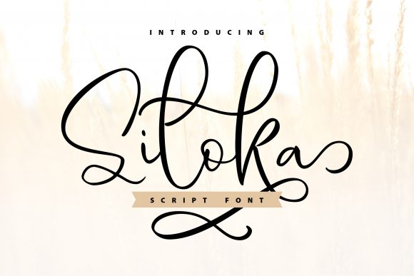 Siloka: The Elegant Handwritten Font for Branding