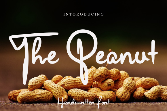 The Peanut: A Fresh Handwritten Font for Branding